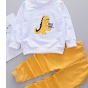 Boys Sweatshirt and Joggers